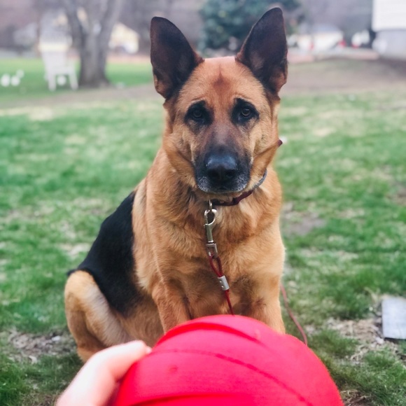 Meet your Posher, Brittany - Picture 6 of 8